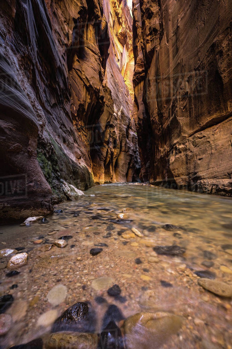 Wall street section in The Narrows, Zion National Park, Utah, America