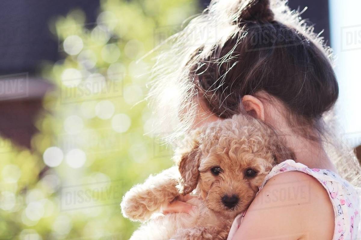 Girl cuddling her puppy dog Stock Photo Dissolve