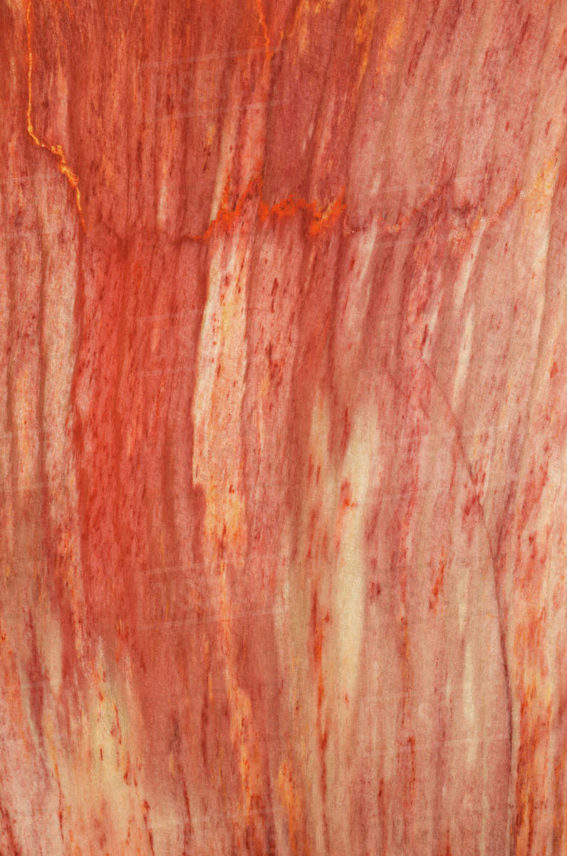 Close up photograph of the structural detail in a piece of sliced and