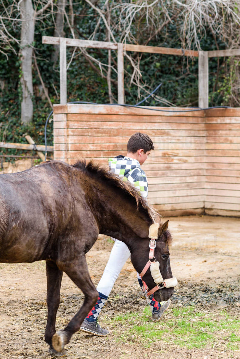 Full body teen boy jockey pulling reins of brown horse while walking