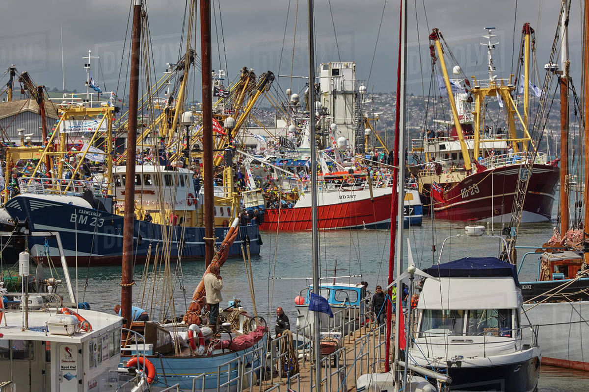 Boats tied up in the busy harbour at Brixham, Torbay, Devon, England, United Kingdom, Europe Royalty-free stock photo