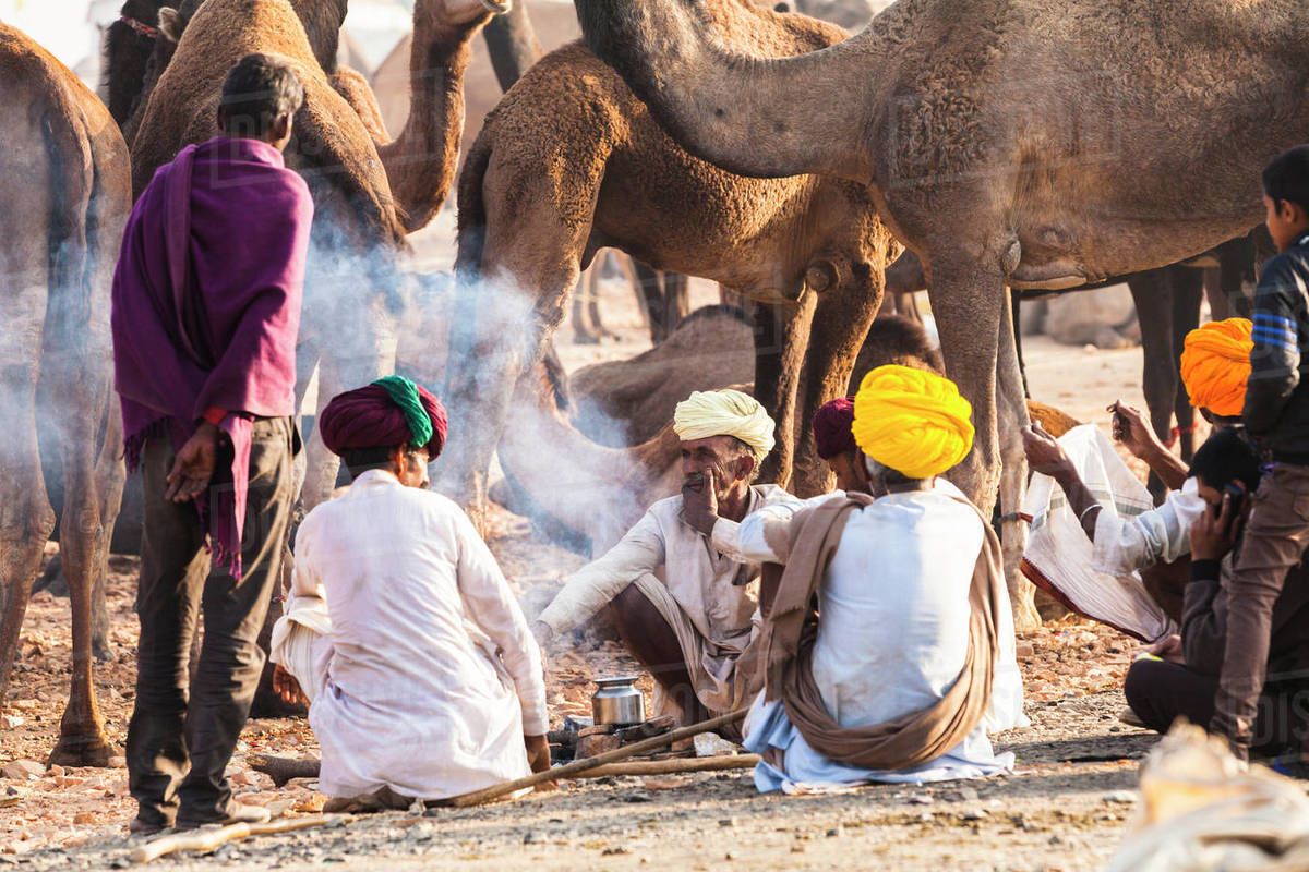 Camel herders at the Pushkar Camel Fair, Pushkar, Rajasthan, India, Asia Royalty-free stock photo