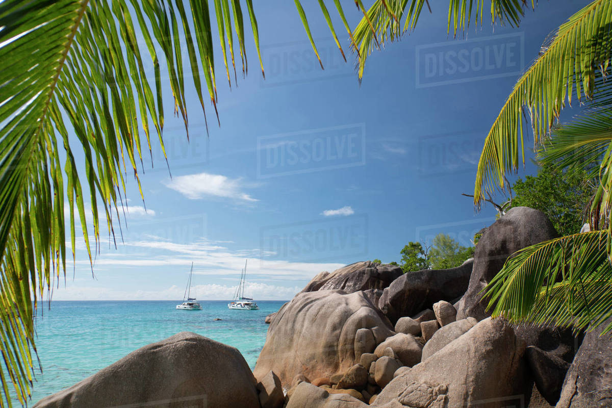 Distinctive limestone rock formations at Anse Lazio on Baie Chevalier, Praslin, Seychelles, Indian Ocean, Africa Royalty-free stock photo