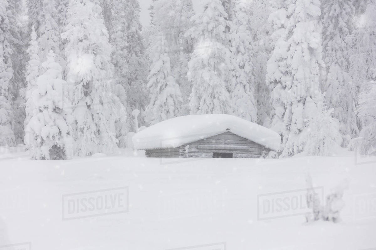 Snowflakes falling over wooden hut and trees in the Arctic forest