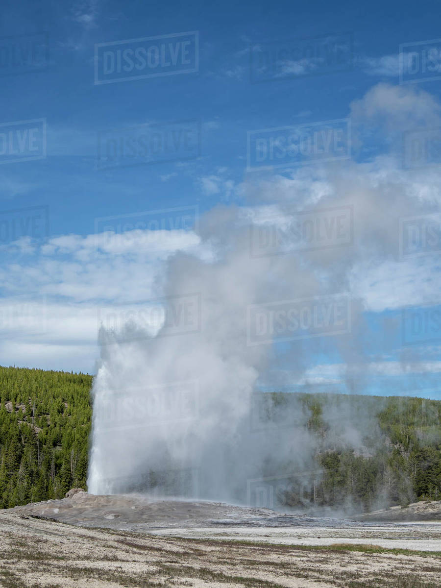 The cone geyser called Old Faithful erupting, Yellowstone National Park