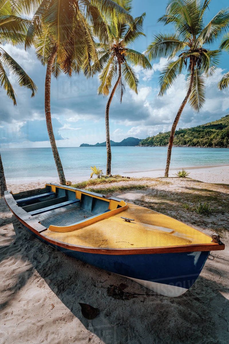 Boat under coconut palm trees on sunny day on shore of tropical beach