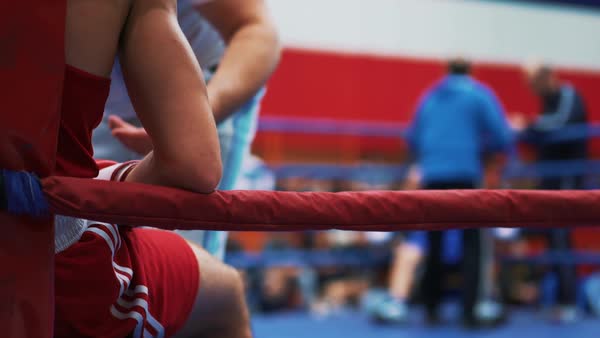 Professional young muscular shirtless male boxers are fighting and ...