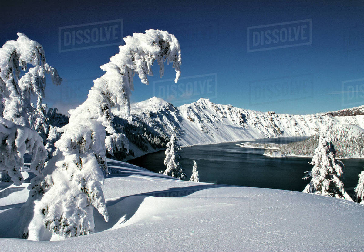 USA, Oregon, Crater Lake National Park. Pristine snow covers the pines surrounding Crater Lake