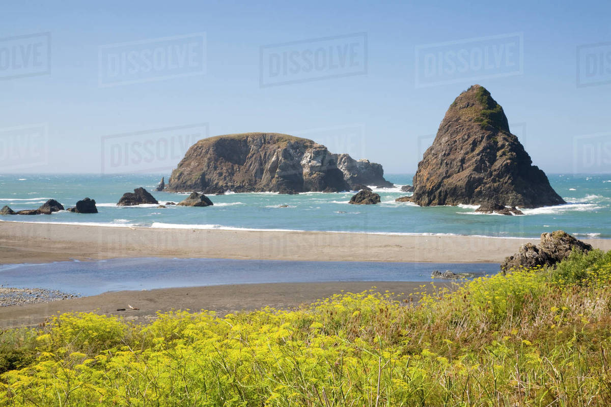 Oregon Coast Whaleshead Beach South Seastacks Oregon Coast Whaleshead Beach South Seastacks