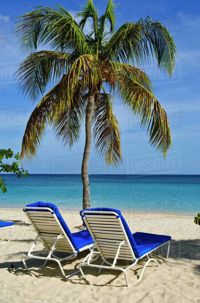 Ostrich 3 In 1 Beach Chair