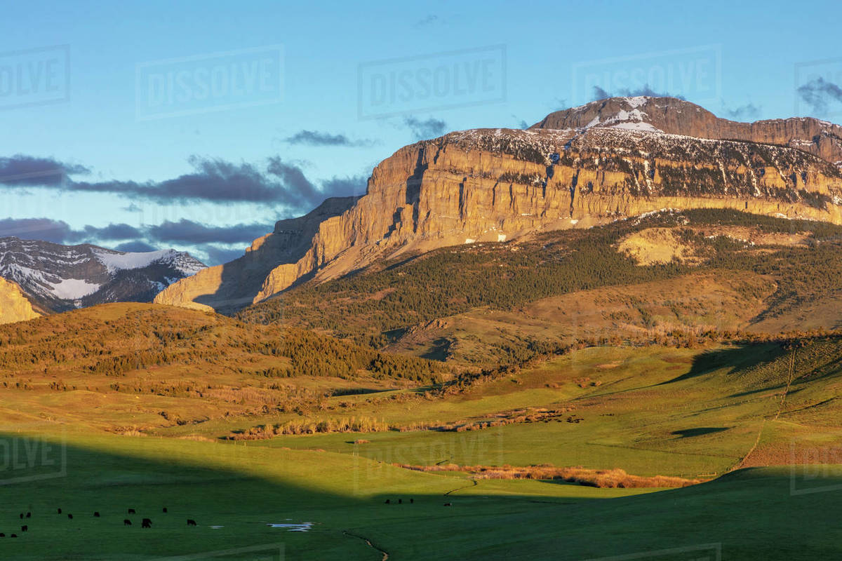 Cattle pastures below Walling Reef at sunrise near Dupuyer, Montana