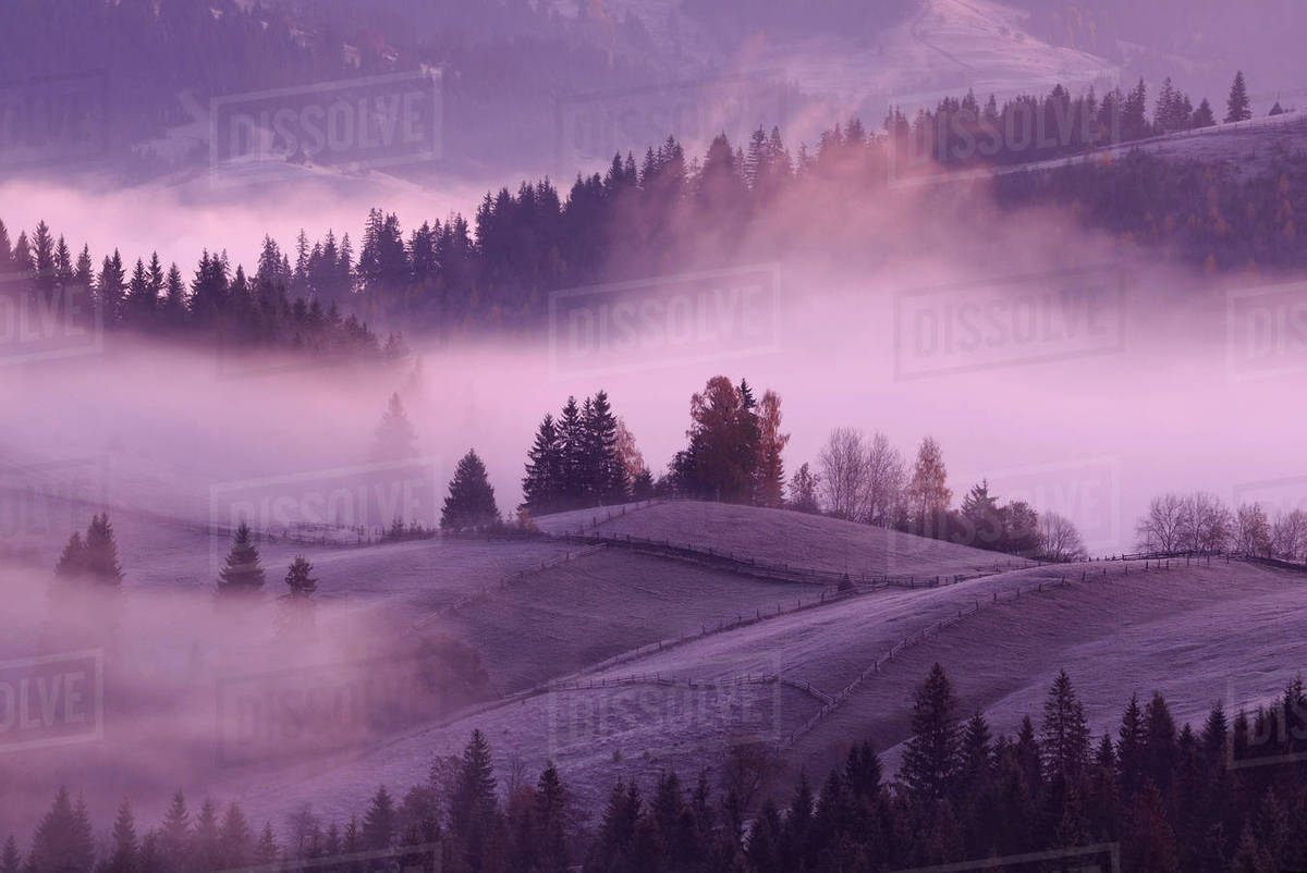 Misty sunrise, Krasnik village area, Carpathian Mountains, Ivano ...