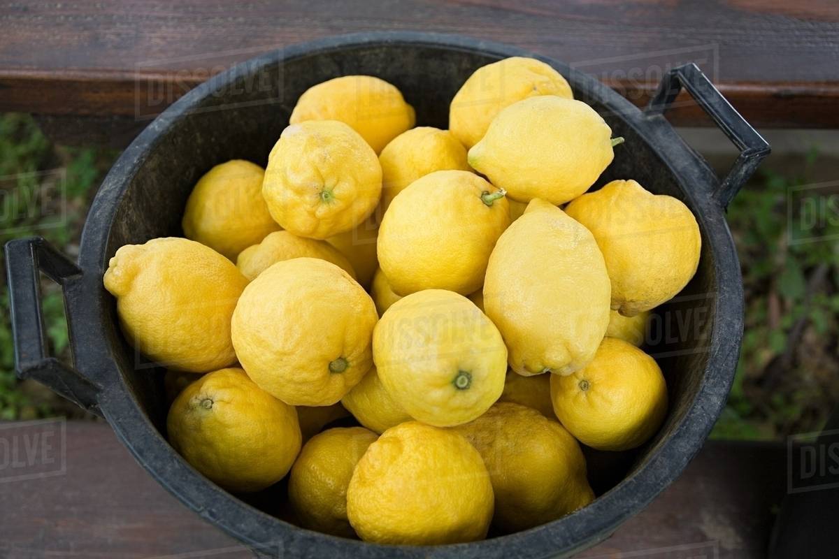 Bucket of fresh lemons Stock Photo Dissolve