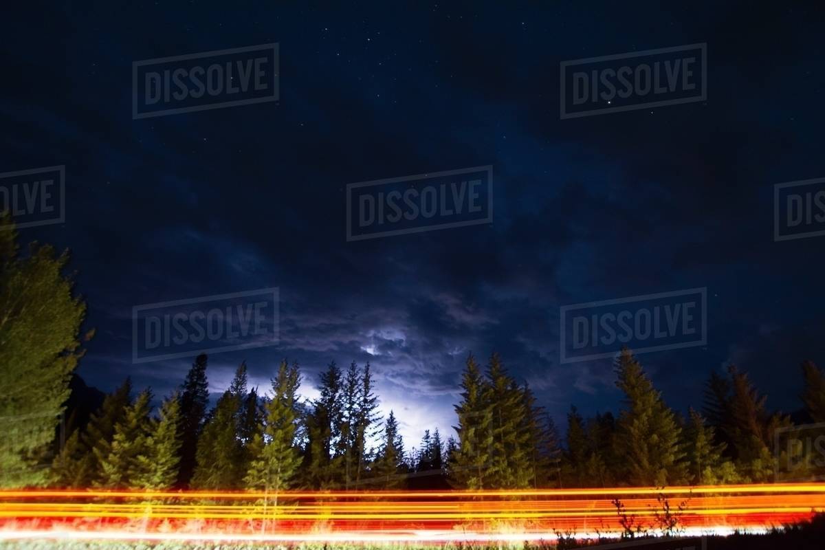 Car light trails on forest road at night, Whiteswan Lake Provincial