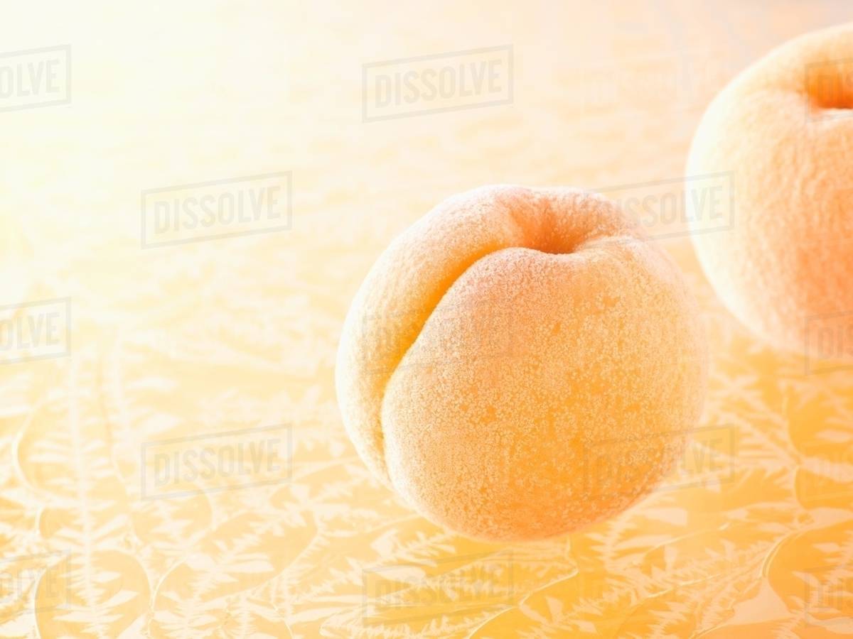 Frozen apricots Stock Photo Dissolve