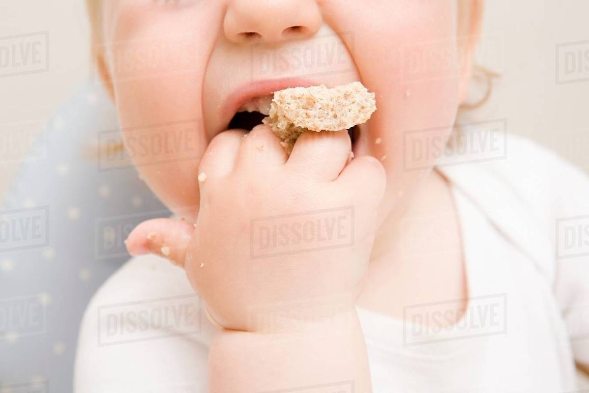 A baby boy eating a biscuit Stock Photo Dissolve
