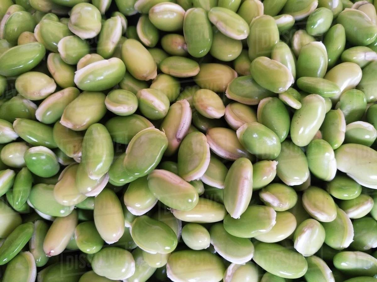 Stack of fresh green beans Stock Photo Dissolve