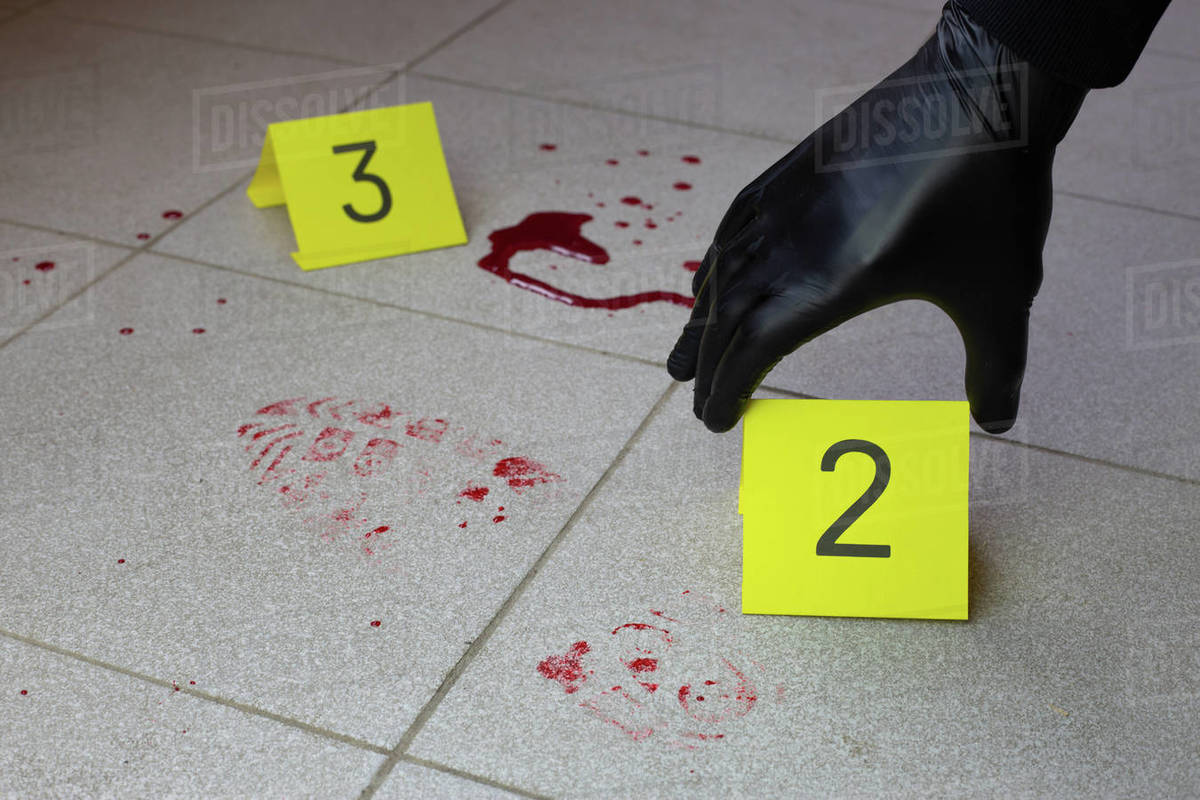 Criminologist hand in black gloves places an evidence marker near ...