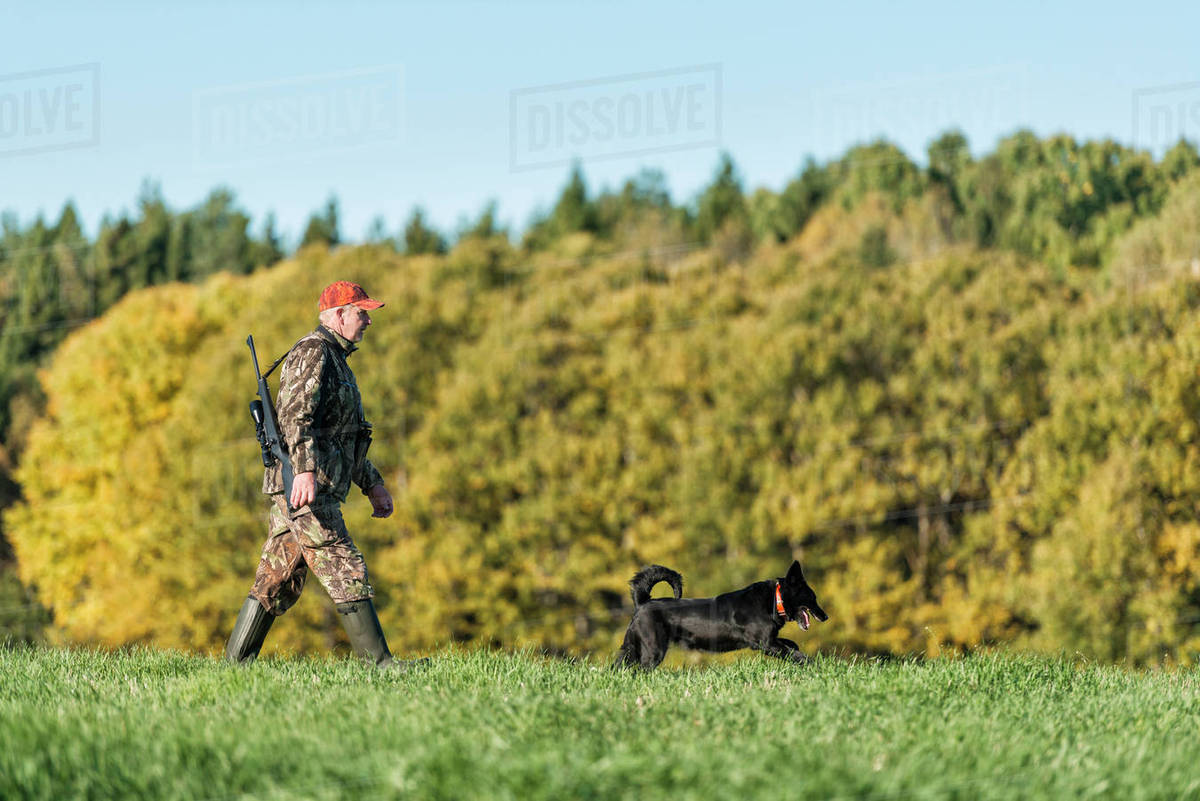 Man hunting with dog Stock Photo Dissolve