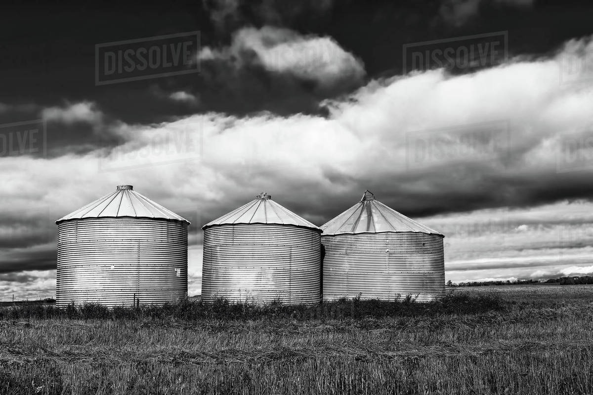 A Black and white of several grain bins Saskatchewan, Canada Stock