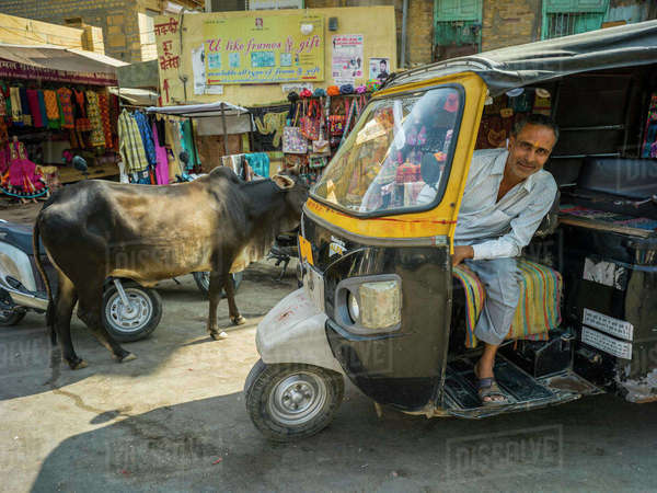 Auto rickshaw driver posing in his rickshaw with a cow on the street ...