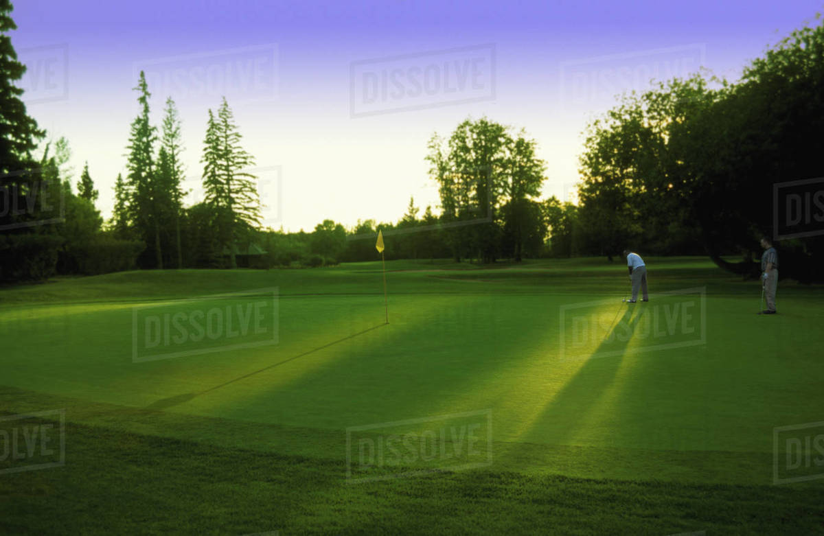 Golfer Putting On Green; Edmonton, Alberta, Canada Stock Photo Dissolve