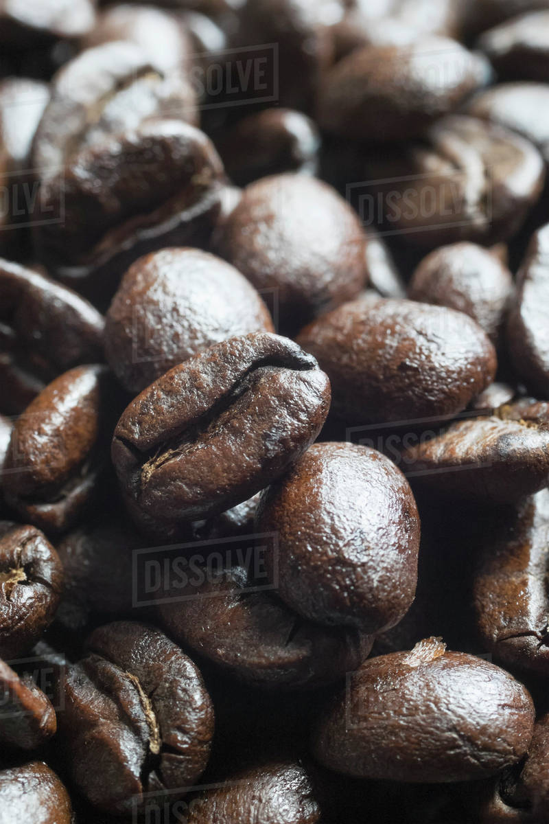 Costa Rican coffee beans Stock Photo Dissolve