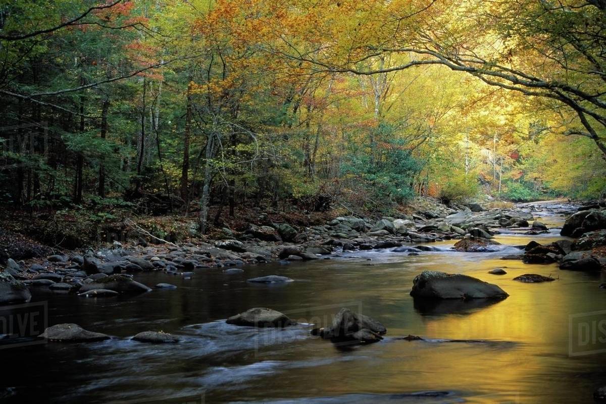 River Flowing Over Rocks, Greenbrier Area, Great Smoky Mountains