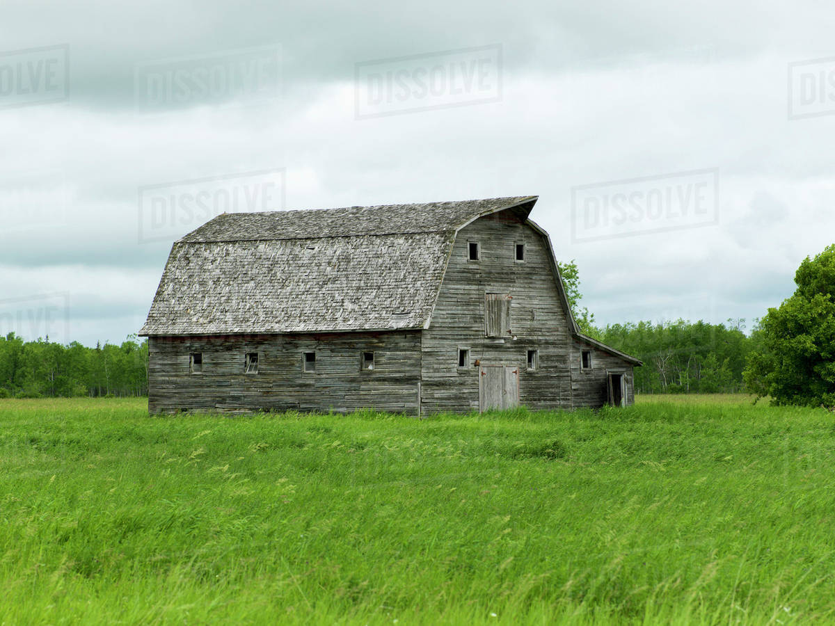 Old wooden barn in a grass field; Manitoba, Canada Stock Photo Dissolve