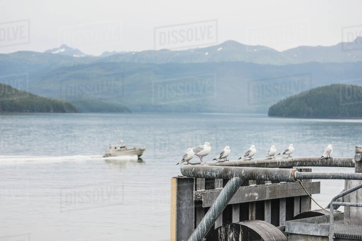 Alaska Marine Highway Ferry terminal at the small boat harbor, Prince