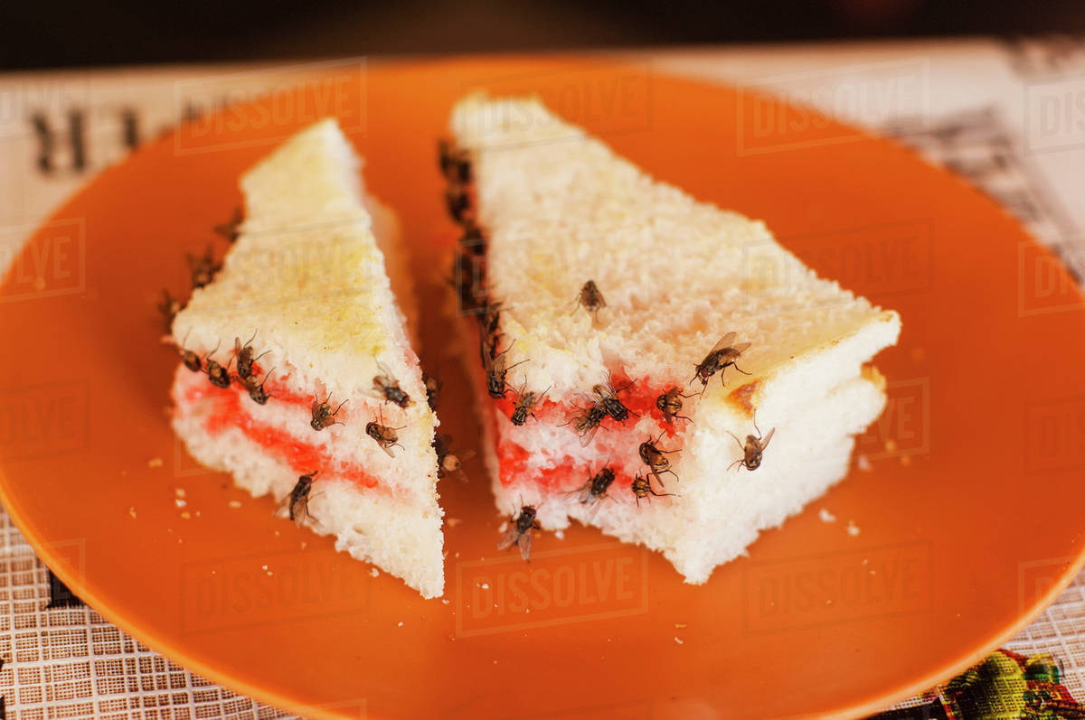 Jam sandwich with flies;Goa karnataka india Stock Photo Dissolve