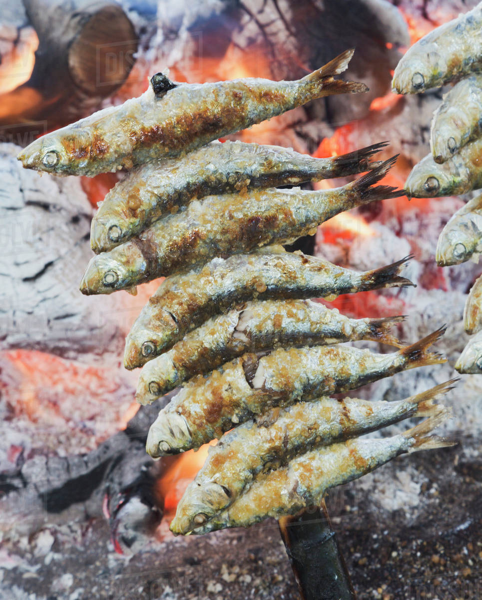 a skewer of sardines roasting over an open fire torremolinos malaga