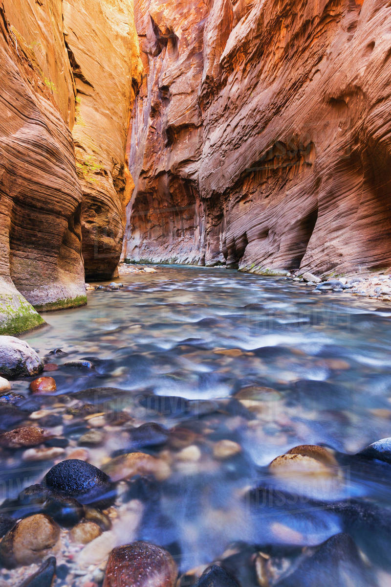 Sunlight reflecting in the virgin river narrows in zion national park