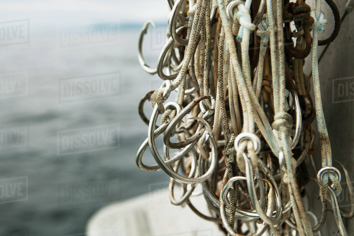 Halibut Hooks Awaiting Bait On A Commercial Longline Fishing Vessel