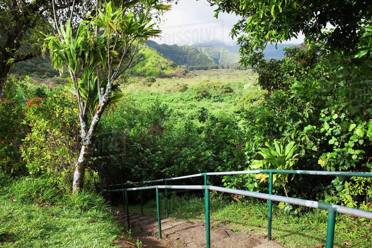 View of wailua valley state wayside park and steps;Maui hawaii united