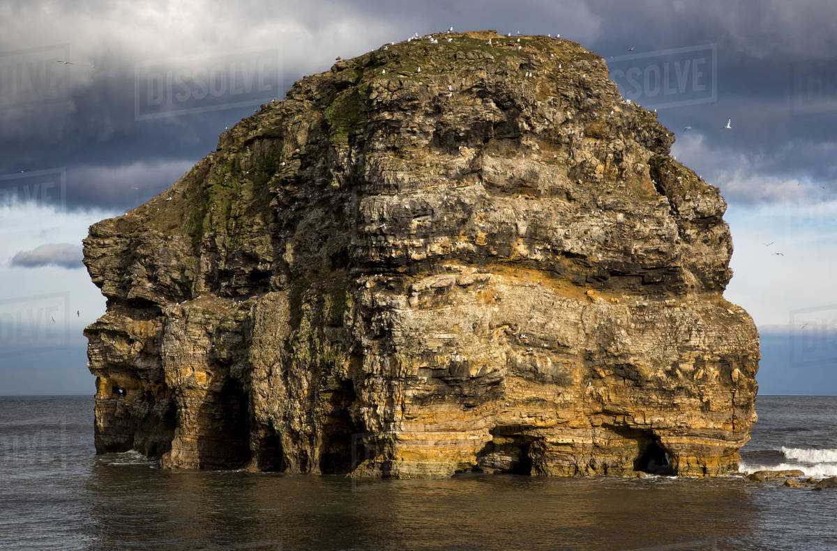 Birds landing on a large, rugged rock formation in the water; South ...