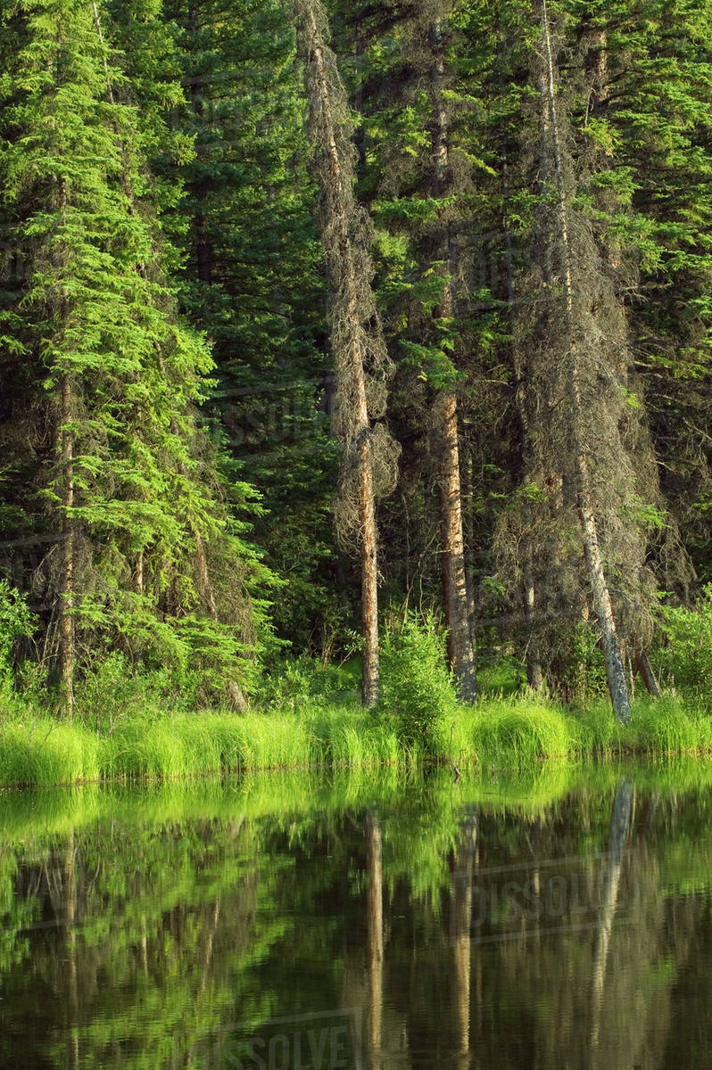 View Across The Marsh From The Marsh Boardwalk At The Cave And Basin