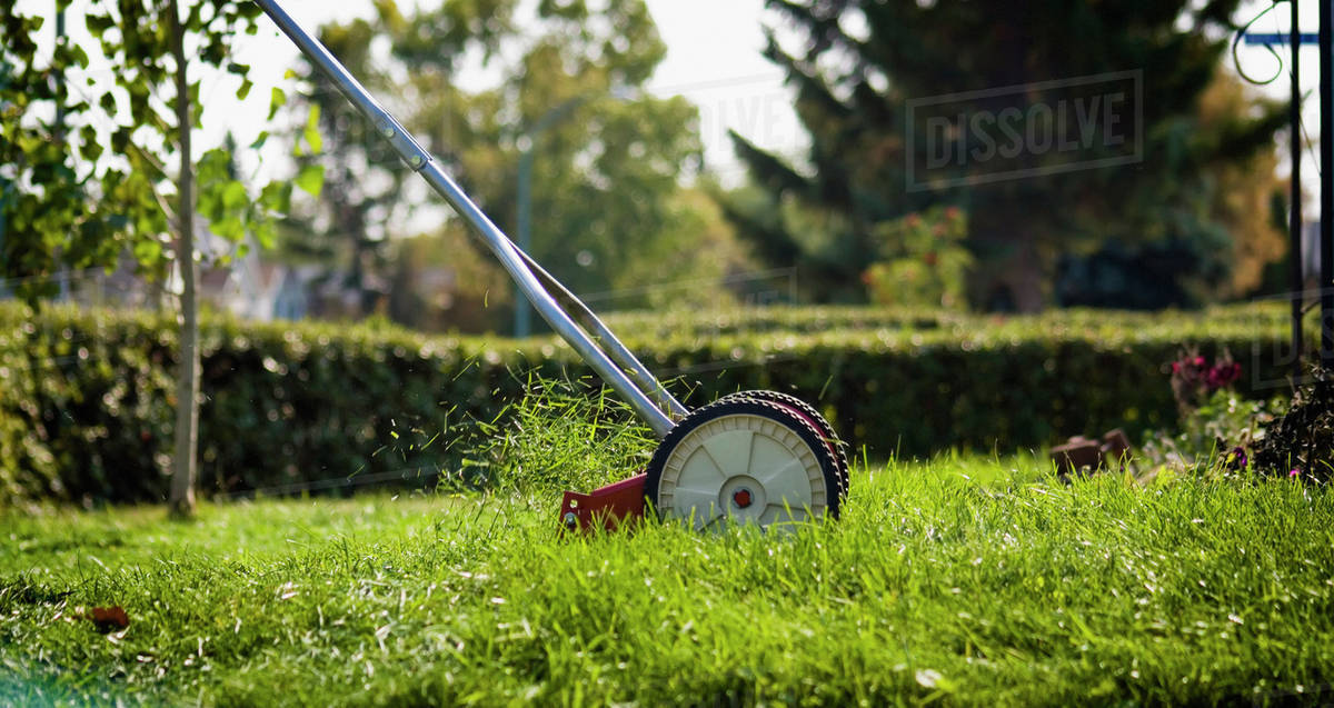 Mowing Lawn With A Reel Mower, For Exercise And To Reduce Energy Use, Regina, Saskatchewan