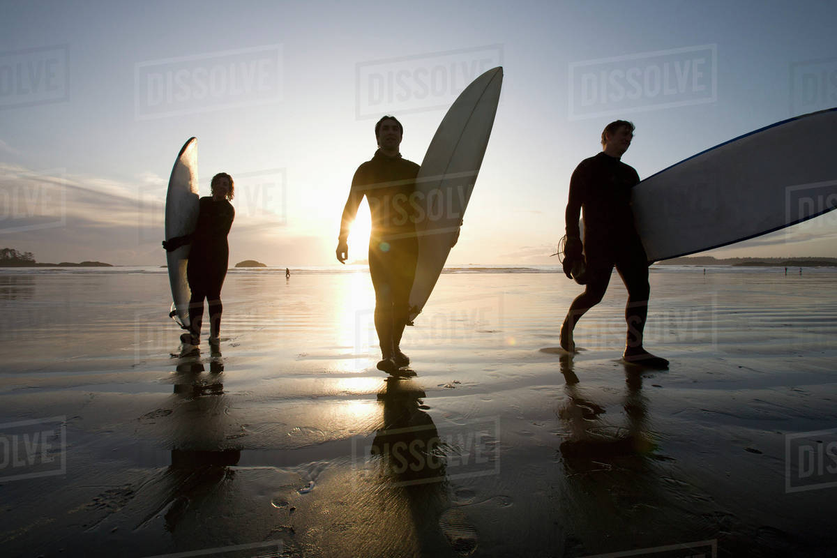Silhouette Of Three Surfers Carrying Surfboards; Chesterman Beach
