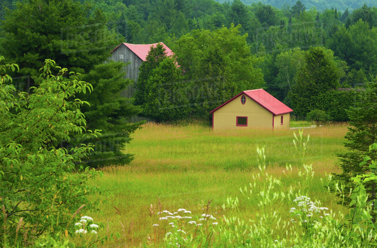 A Barn And Shed In A Country Meadow; Fulford, Quebec, Canada Stock
