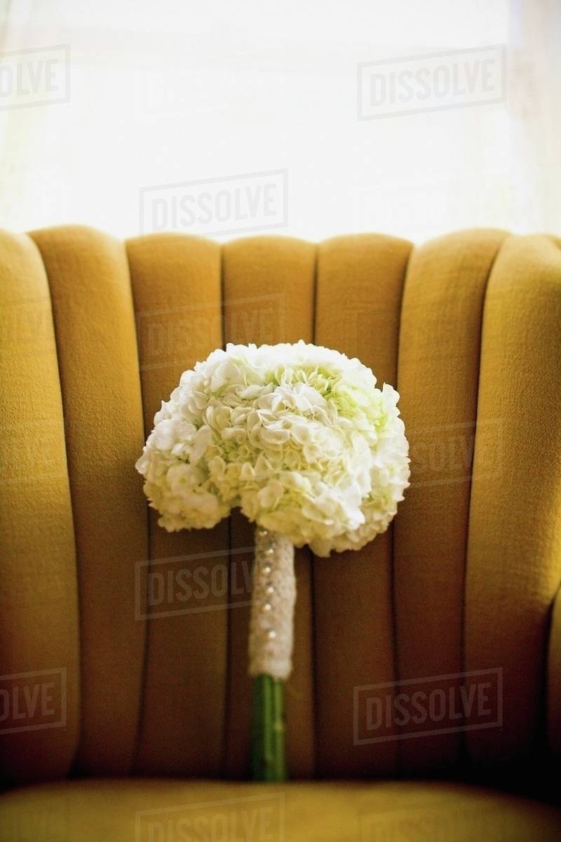 A Bouquet Of White Flowers; Jordan, Ontario, Canada Stock Photo