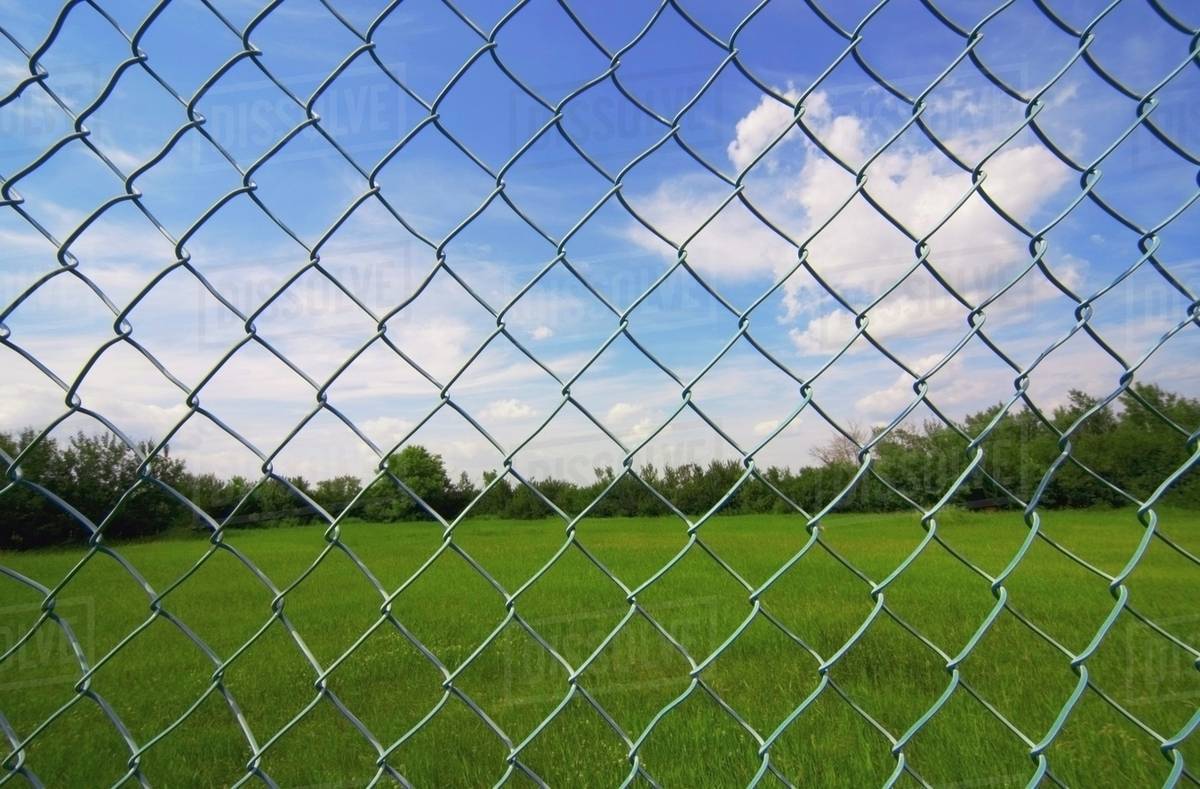 Alberta, Canada; Looking At The Sky Through A Chain Link Fence -  Royalty-free Stock Photo | Dissolve