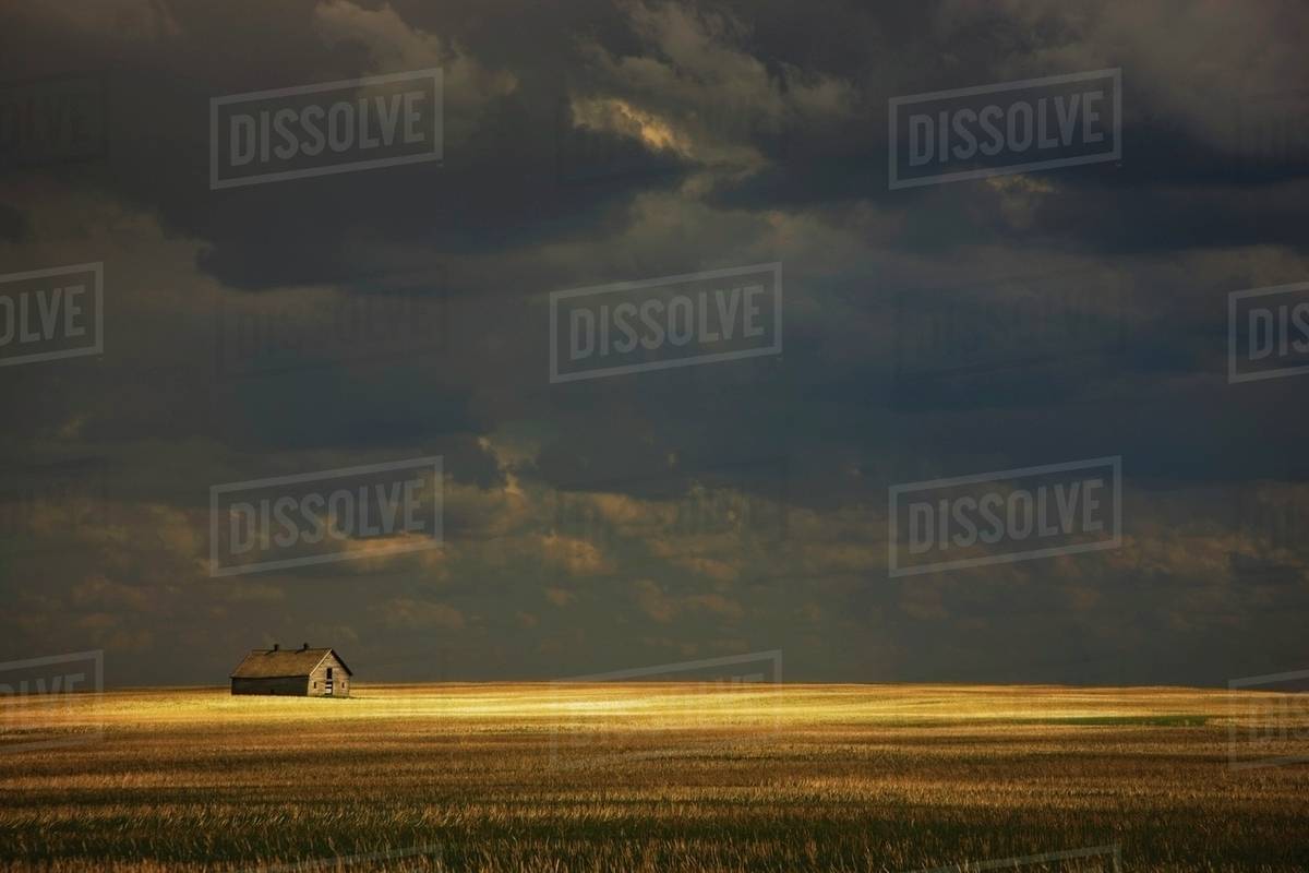 Tofield, Alberta, Canada; An Old Barn In A Field Stock Photo Dissolve