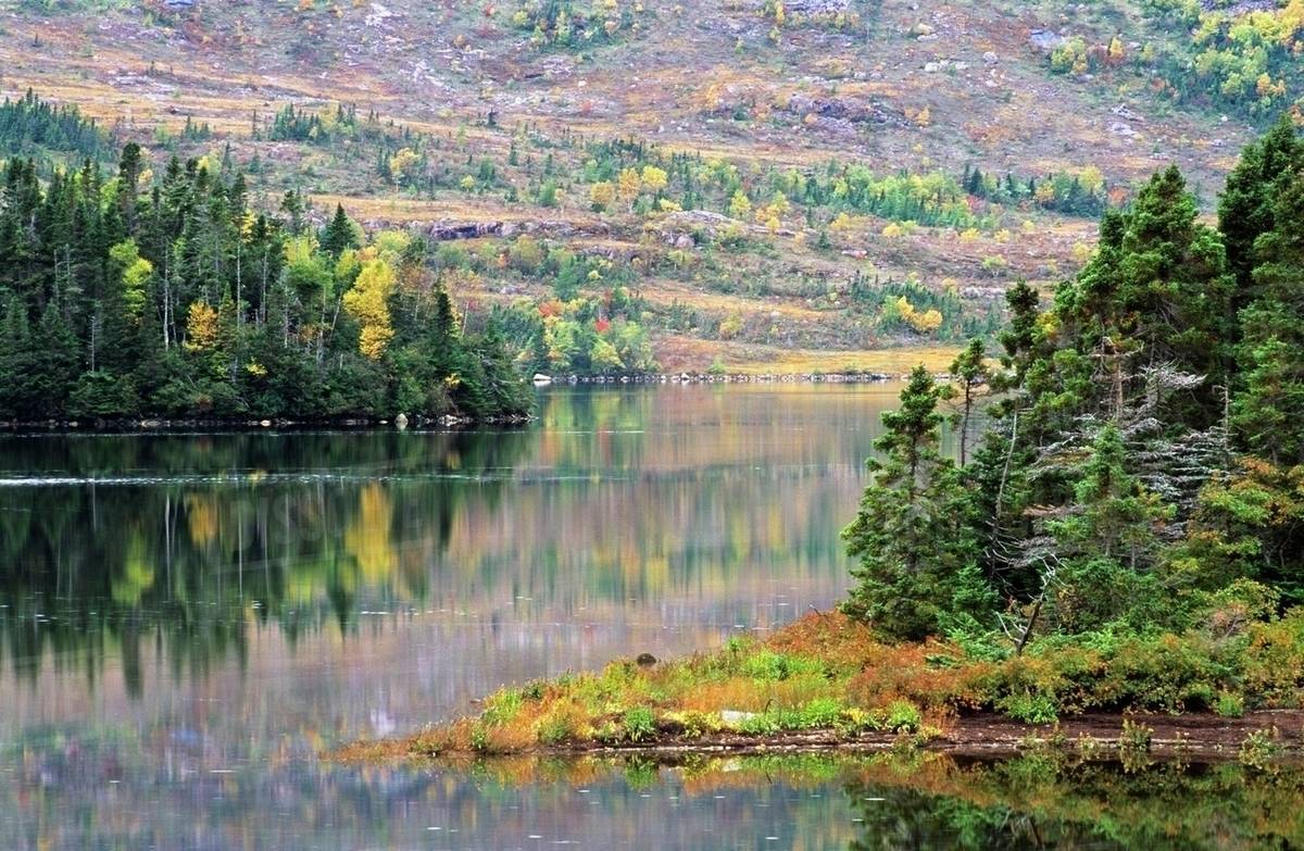 Cabins For Sale On Burin Peninsula Nl at Williams Jones blog