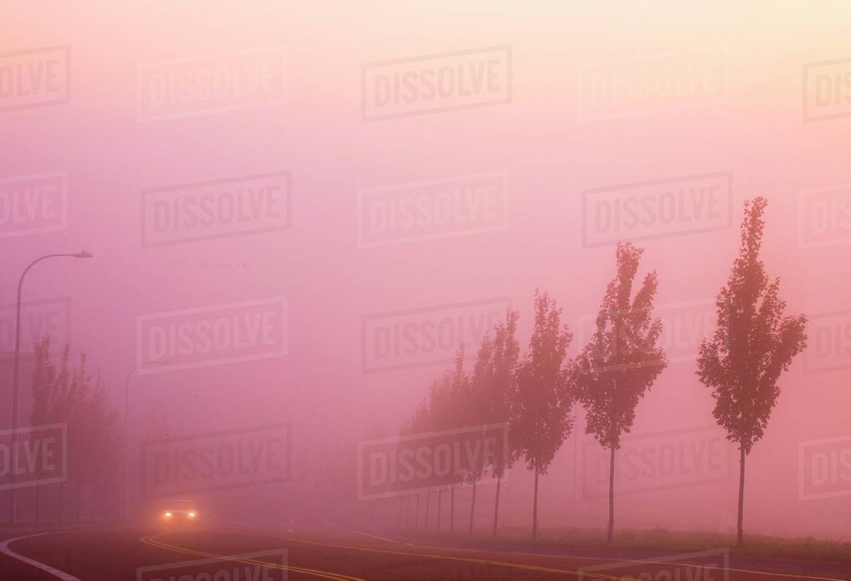 Car On Rural Highway In Fog, Happy Valley, Oregon, Usa Stock Photo