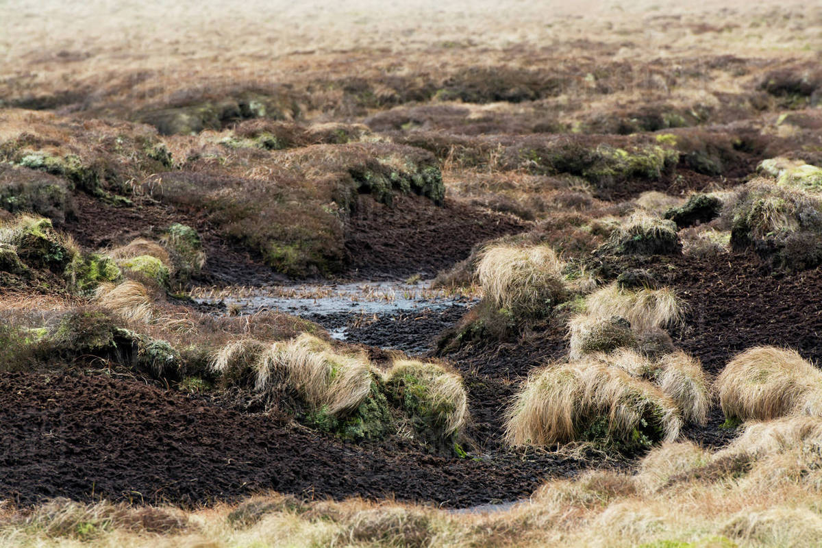 Exposed peat bog on moorland; North Yorkshire, England Stock Photo