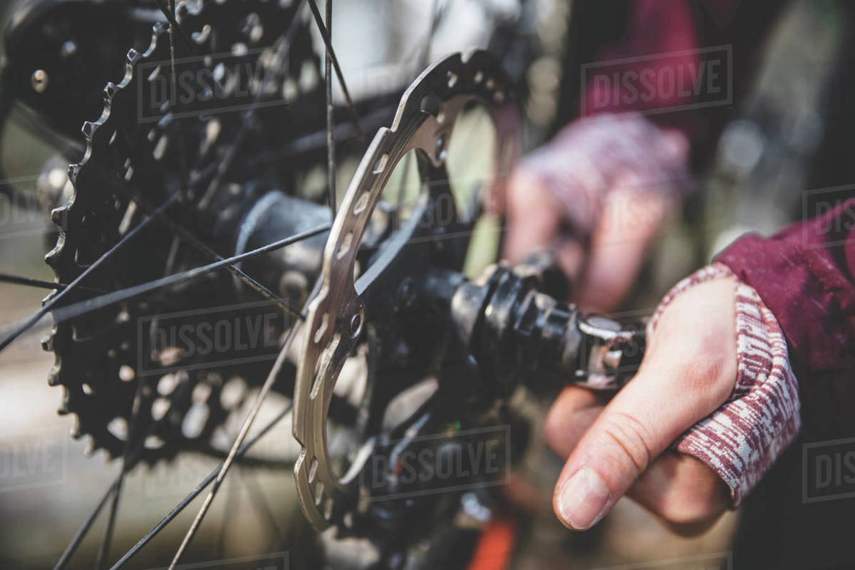 Cropped image of woman repairing mountain bike in forest Royalty-free stock photo