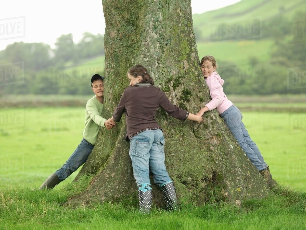 Children Hugging Tree Stock Photo Dissolve