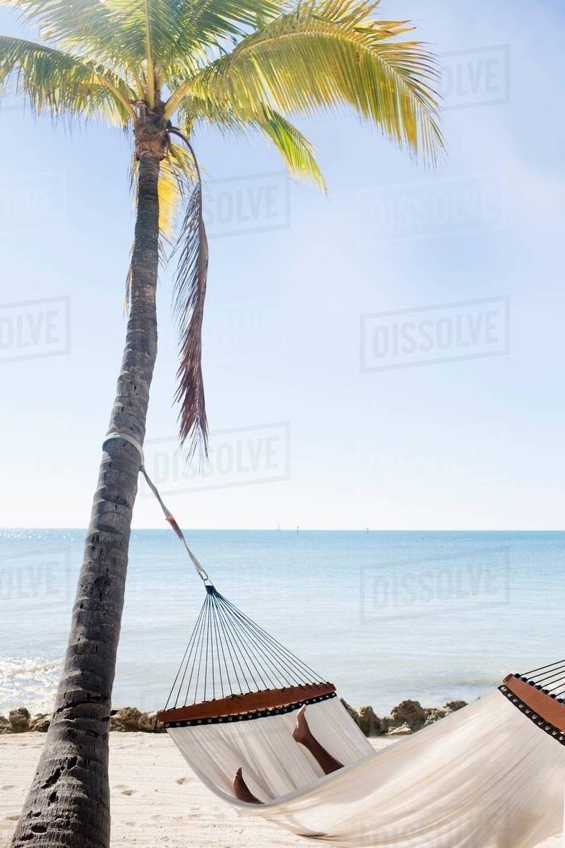 Hammock On Sandy Beach Orada Florida Keys Usa Stock Photo Hammock On Sandy Beach Orada Florida Keys Usa
