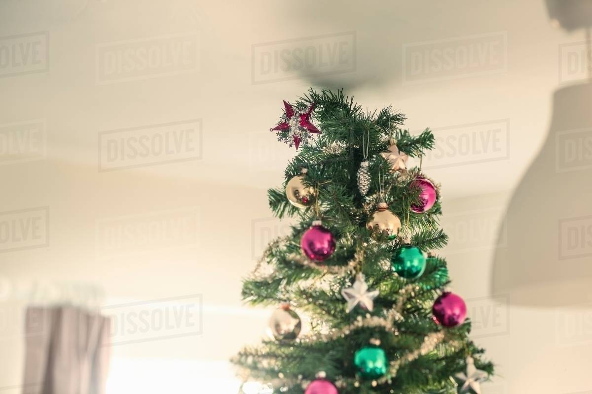 Christmas Tree Touching Ceiling Stock Photo Dissolve